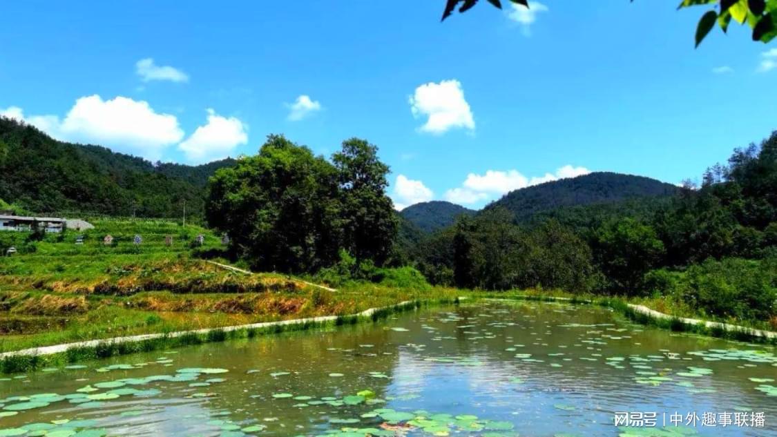 dy自助下单平台网站24小时到账