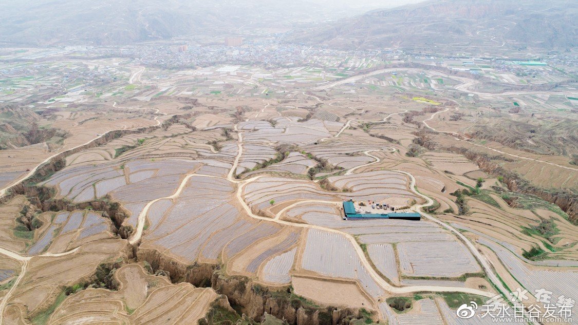 北科大回应董袭莹论文雷同质疑